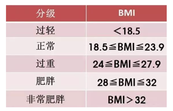 bmi体重指数怎么计算（健身常见的数据：BMI、体脂率、BMR）