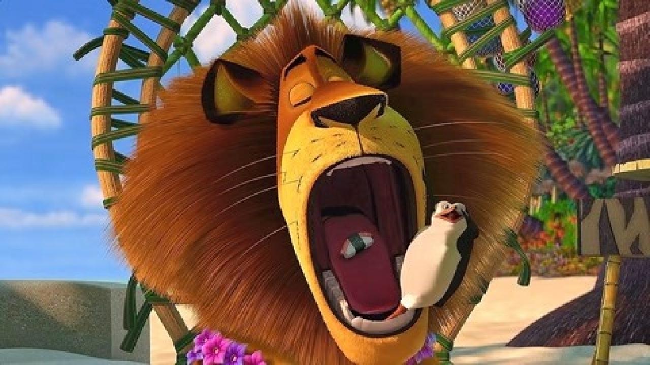 失业小伙养松鼠当宠物不上班也有花不完的钱一部动物喜剧电影