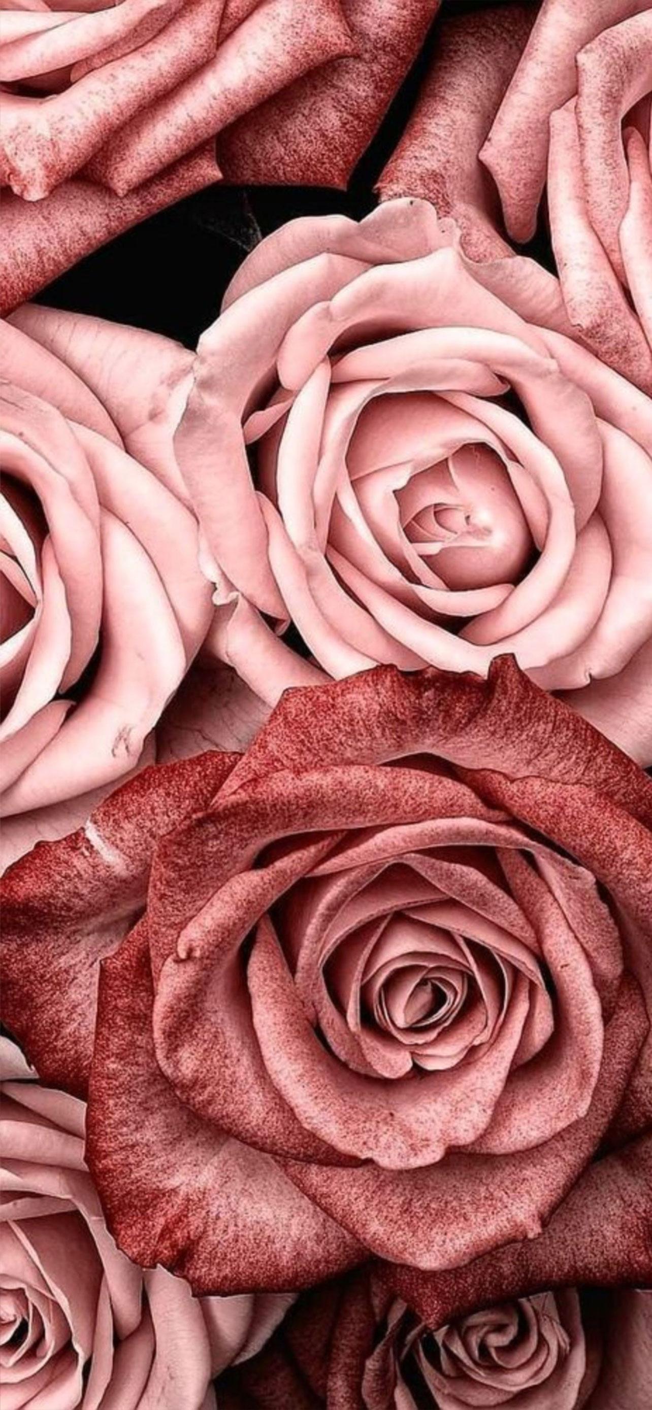 视觉| 拒绝审美疲劳,耐看,无水印全屏好看手机壁纸(第一波-柔美粉糯