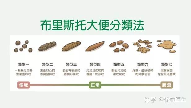 如:便秘,腹瀉,大便帶血,粘液膿血便,黑色柏油樣便或白色陶土樣便等