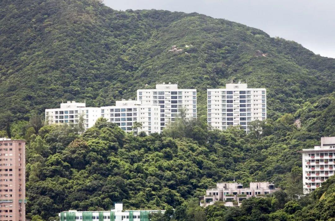 被疯抢的香港10亿豪宅山顶都要说普通话了