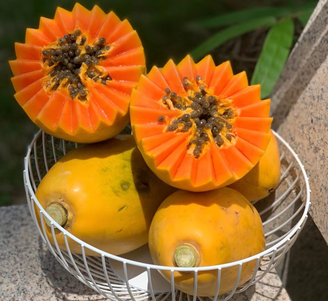 海南冰糖心红心木瓜,水果界的"小甜心"! - 知乎