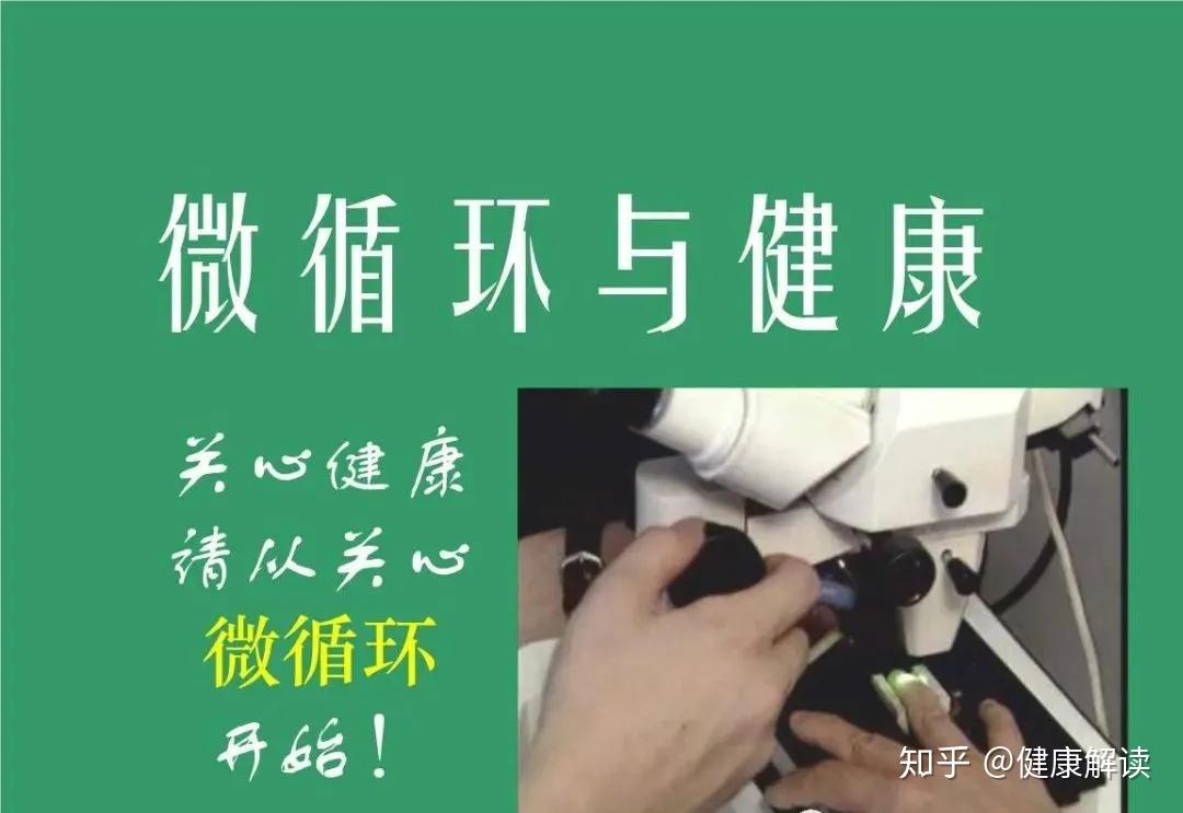 健康观念微循环