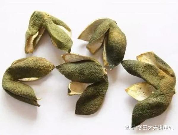 一味中药——青皮,是疏肝破气、防治肿瘤的有效药物!建议收藏 - 知乎