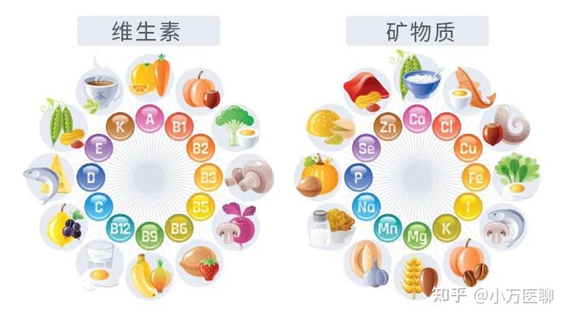 营养元素也分大小