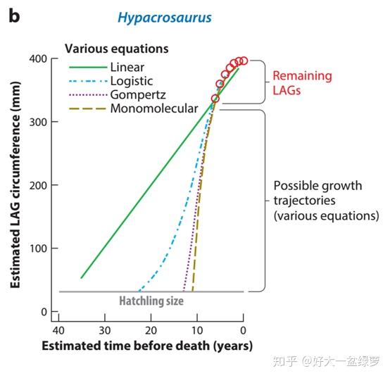追寻恐龙中的长者搞研究系列