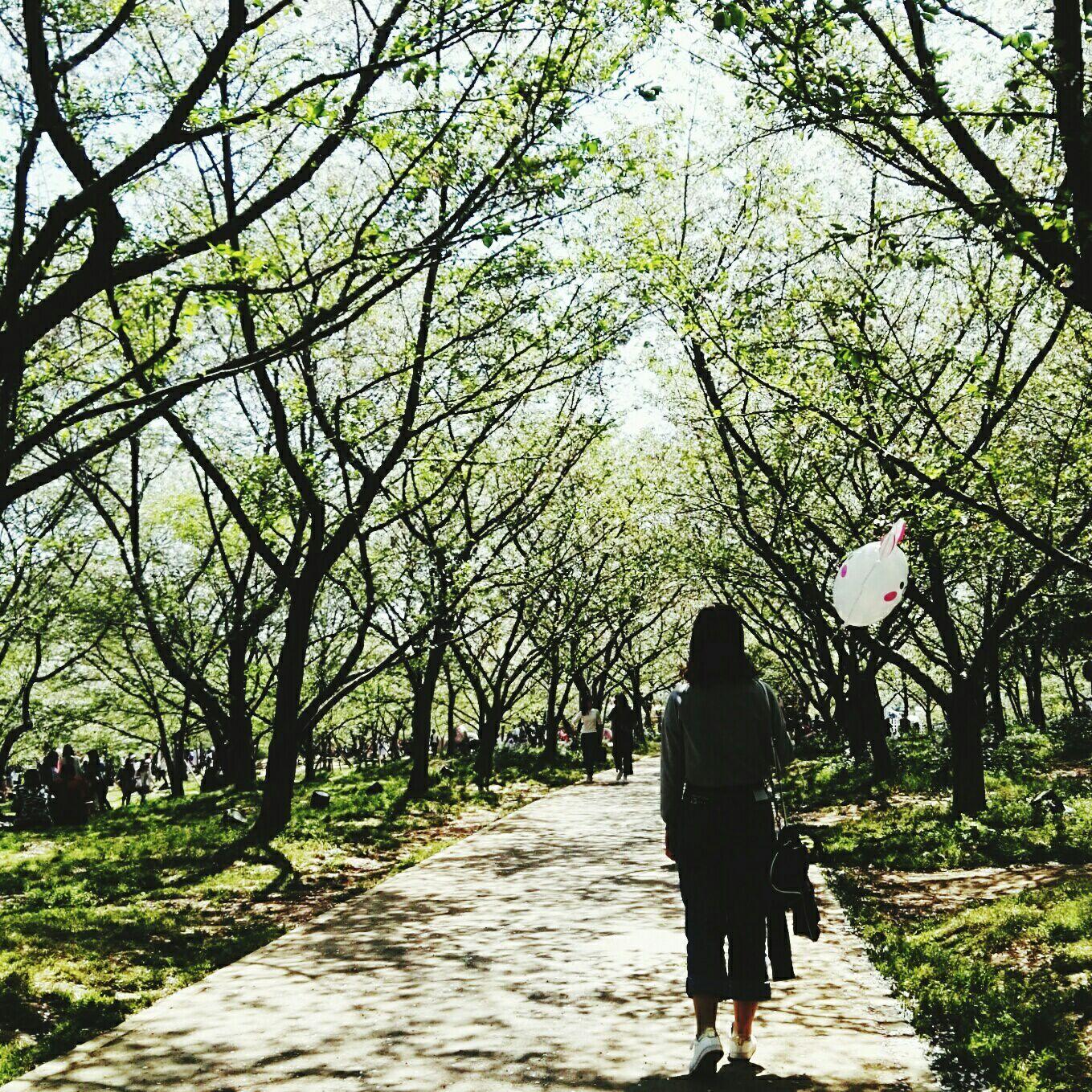 你用过最好的p图软件有哪些? - 知乎