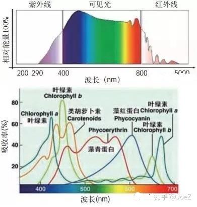 如何选择和设计LED植物照明？ - 知乎
