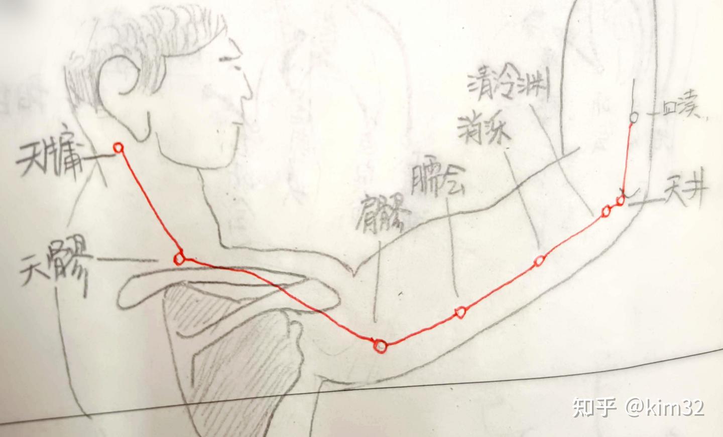 一天记住:三焦23穴(十一) - 知乎