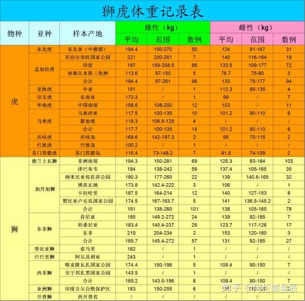 狮子老虎哪个是最大猫科动物