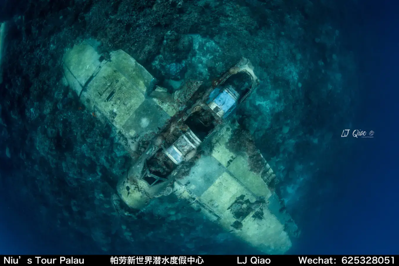 帕劳Palau 潜水度假保姆级攻略——衣食住行全流程（史上最全详细版） - 知乎