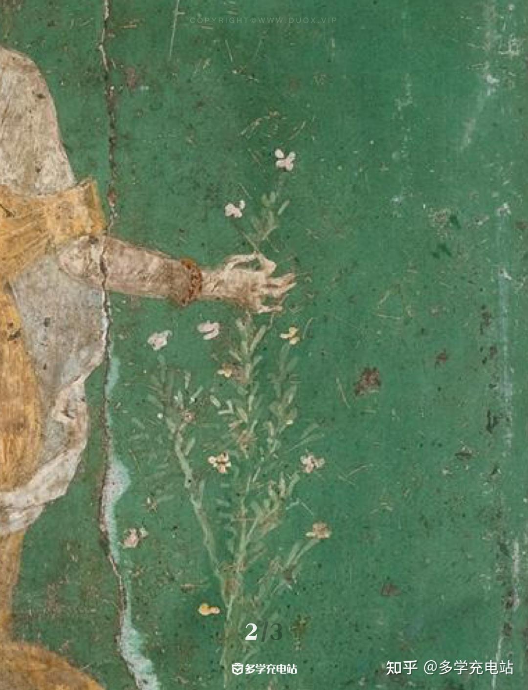 每日一画|迟来的历史心中的罗马《花神芙罗拉》 - 知乎