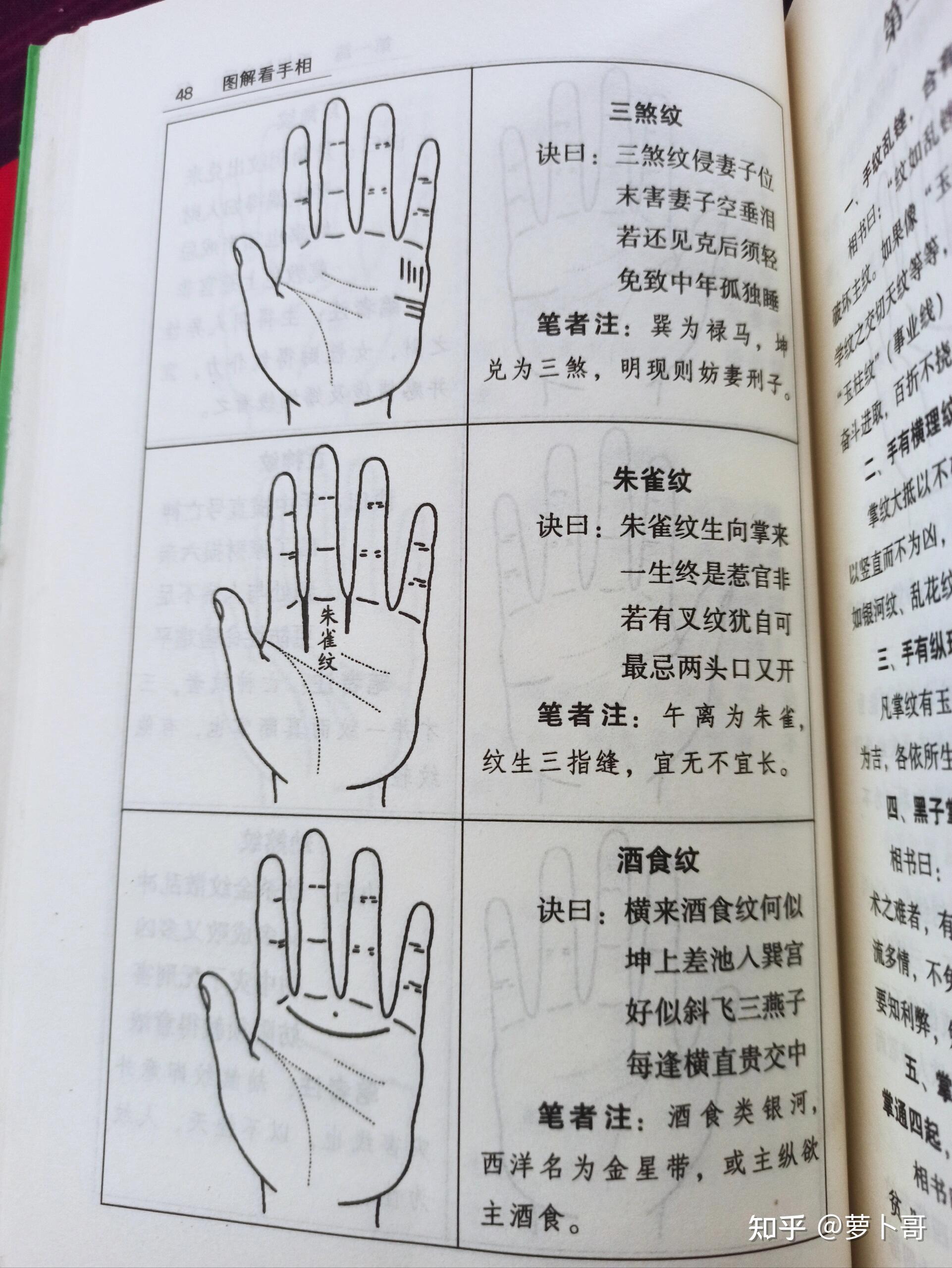 指纹各个纹路代表什么?你清楚吗?