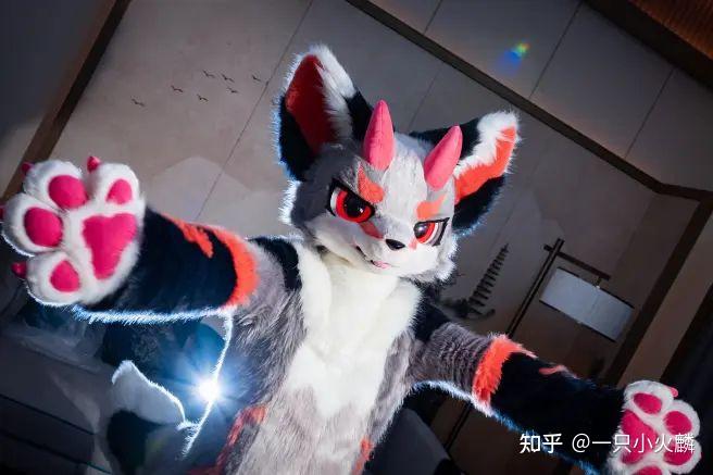 Furry是什么?兽圈是什么? - 知乎