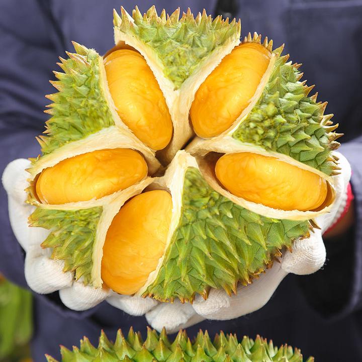 泰国榴莲当季青皮榴莲新鲜水果进口金枕榴莲巴掌一整箱 拼多多 67.00