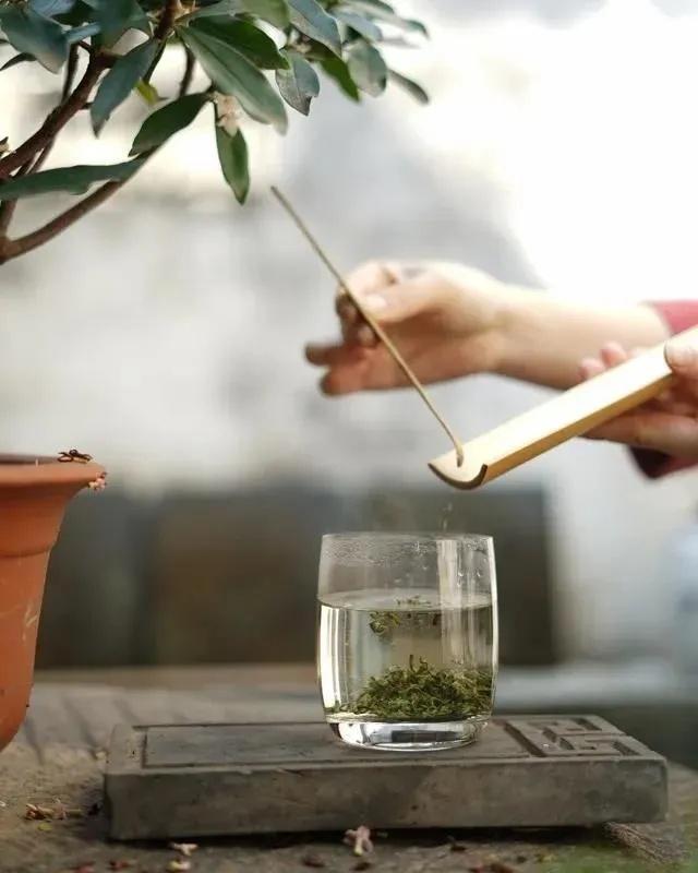 寻茶记丨碧螺春二品质与饮用