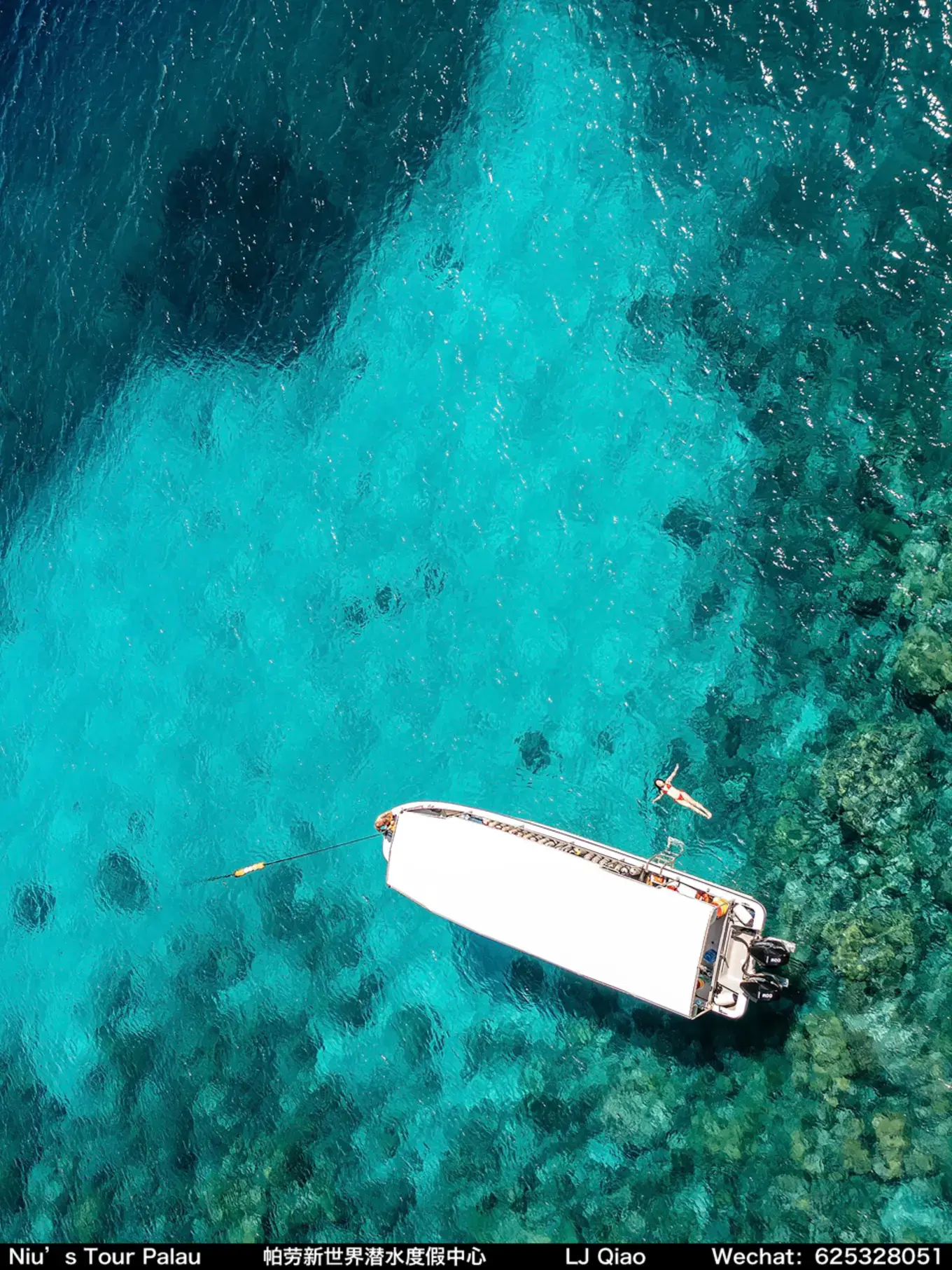 帕劳Palau 潜水度假保姆级攻略——衣食住行全流程（史上最全详细版） - 知乎
