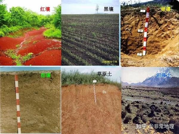 植被与土壤的十四大地理问题 - 知乎