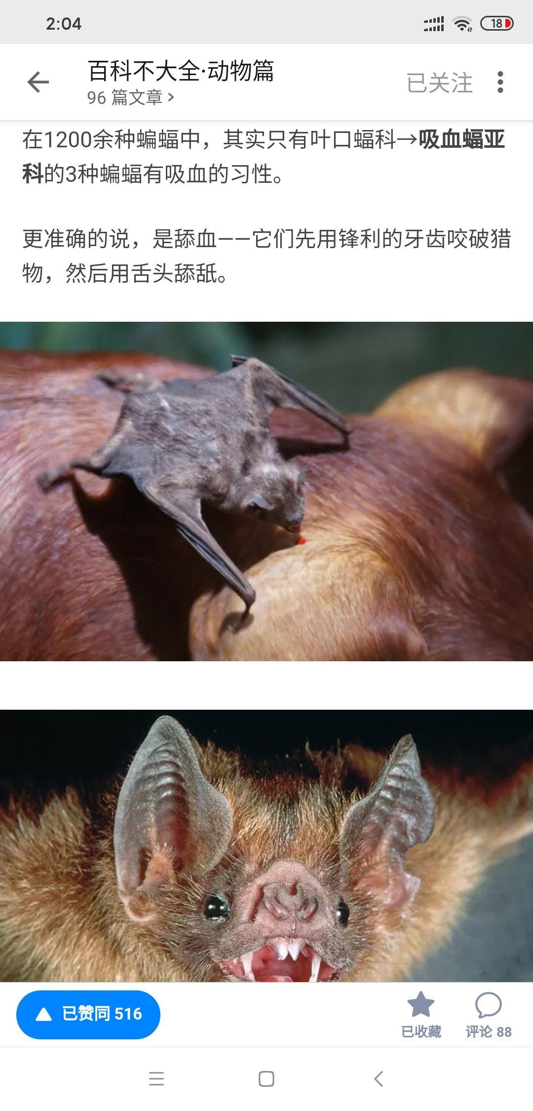 浙江这一带的蝙蝠会咬人吗