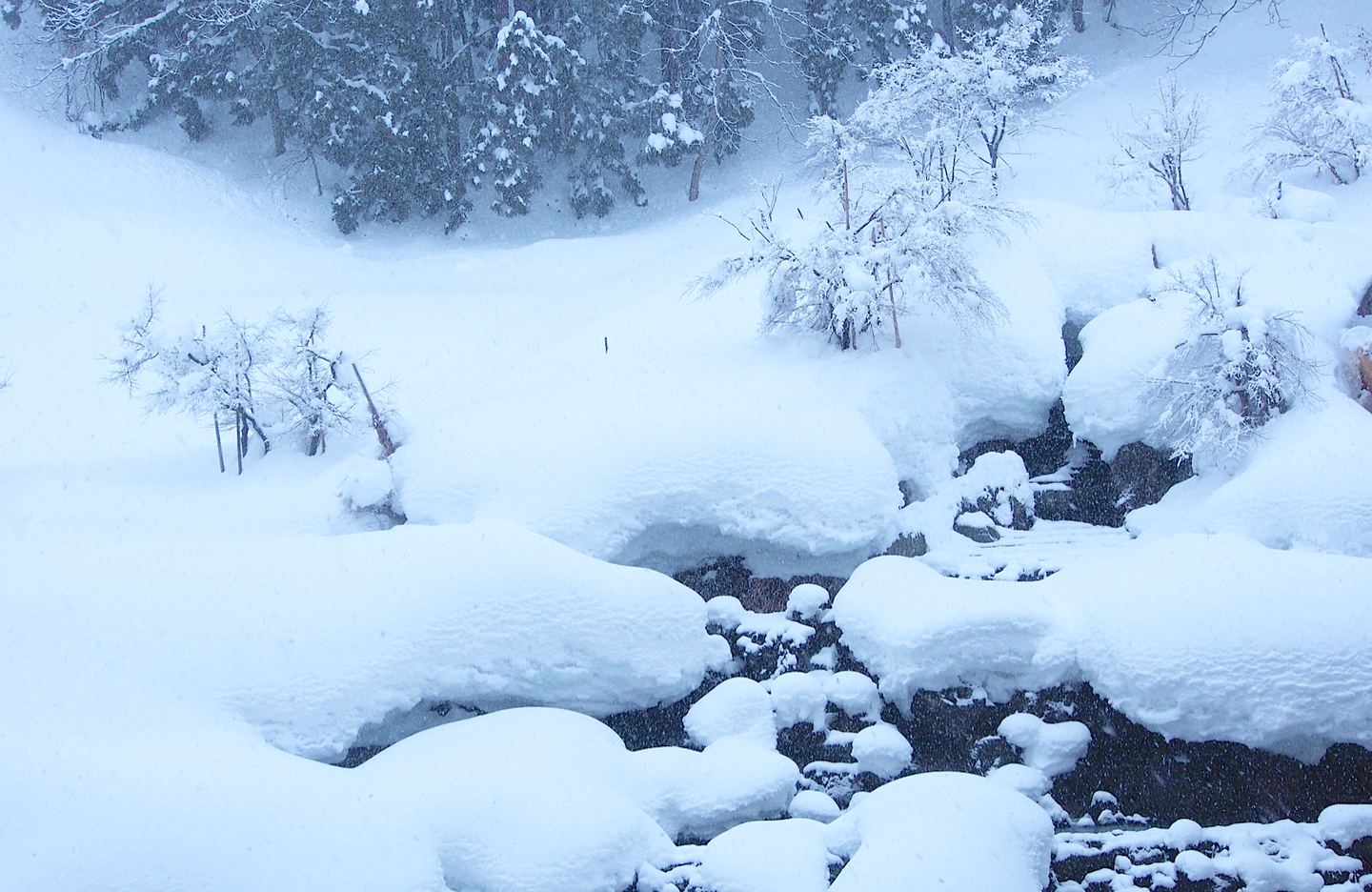 雪国 行走在川端康成的 雪国 里 知乎 雪国 行走在川端康成的 雪国 里 知乎