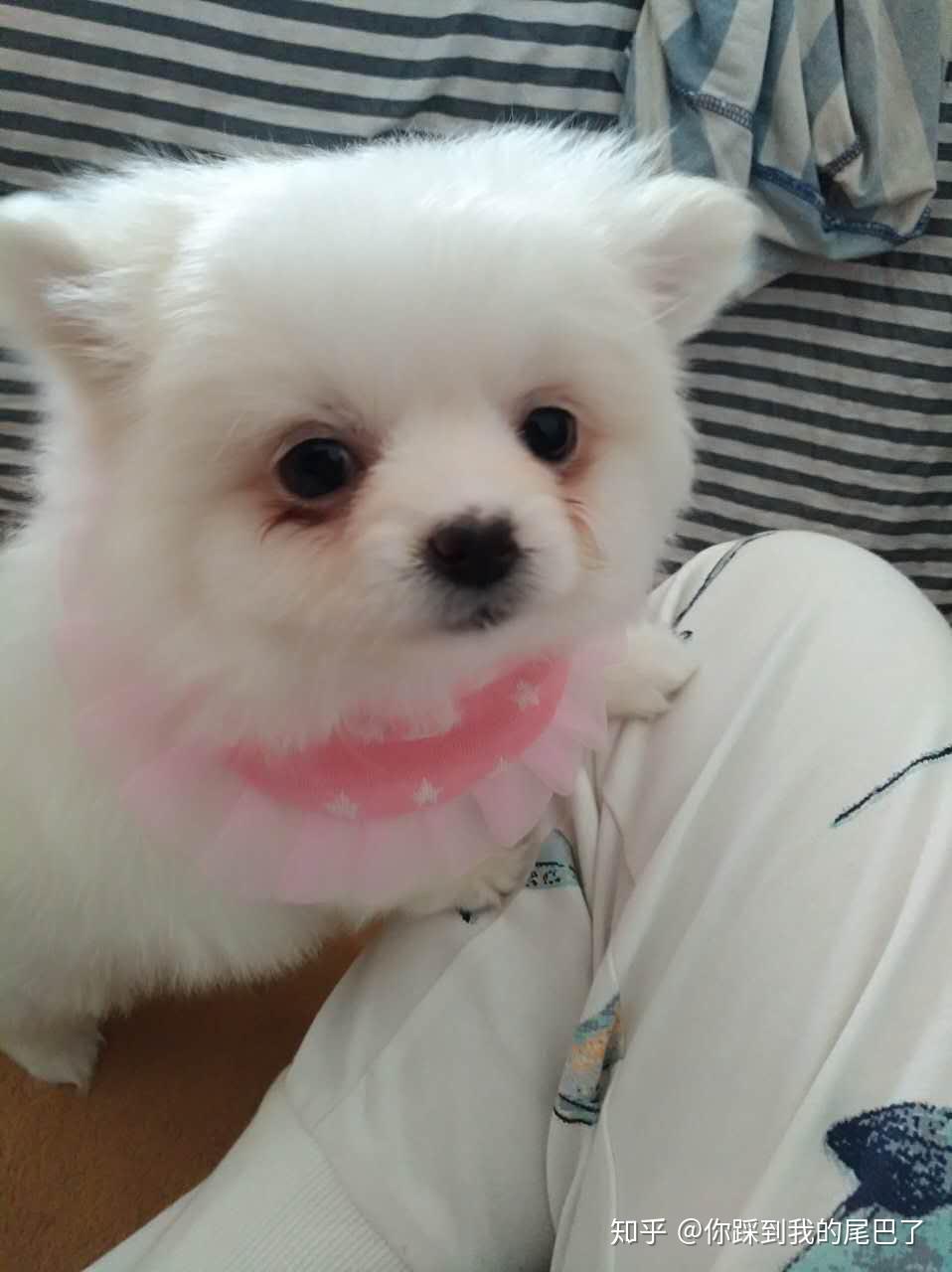 怎么在家自己剪u型发尾 v2-023f5dd892207c139f512d619d8011c5_r.jpg