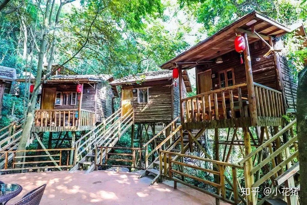 英德居然有一个这么原始的树屋部落住树上围屋泡树上温泉是一种怎样的