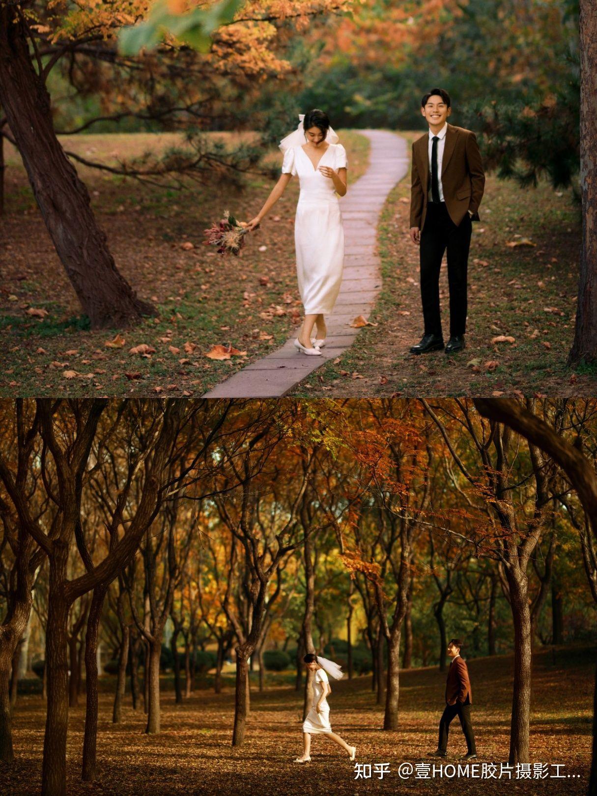 TL WEDDING | 【TLwedding悉尼婚纱摄影】/秋天限定婚纱照/ 🍁秋色枫叶🍁