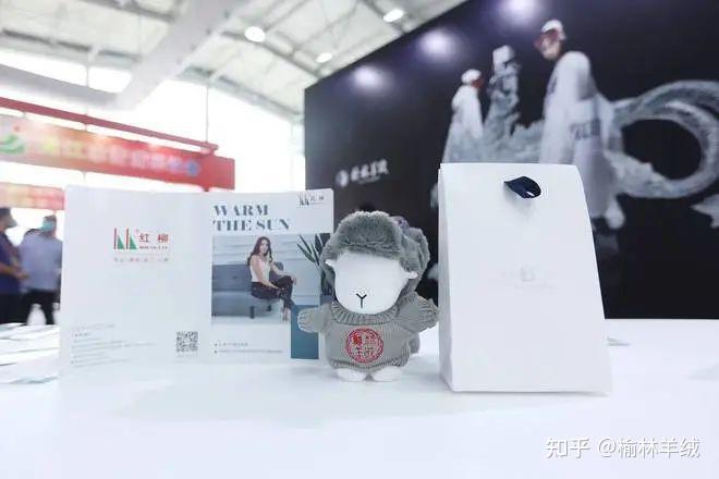 “榆林羊绒”8大品牌即将闪耀北京冬博会 - 知乎