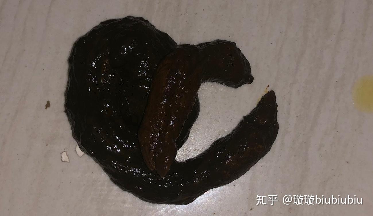 然后今天还是照常的带着花卷去打针,不输液了,都是我来喂,然后今天量