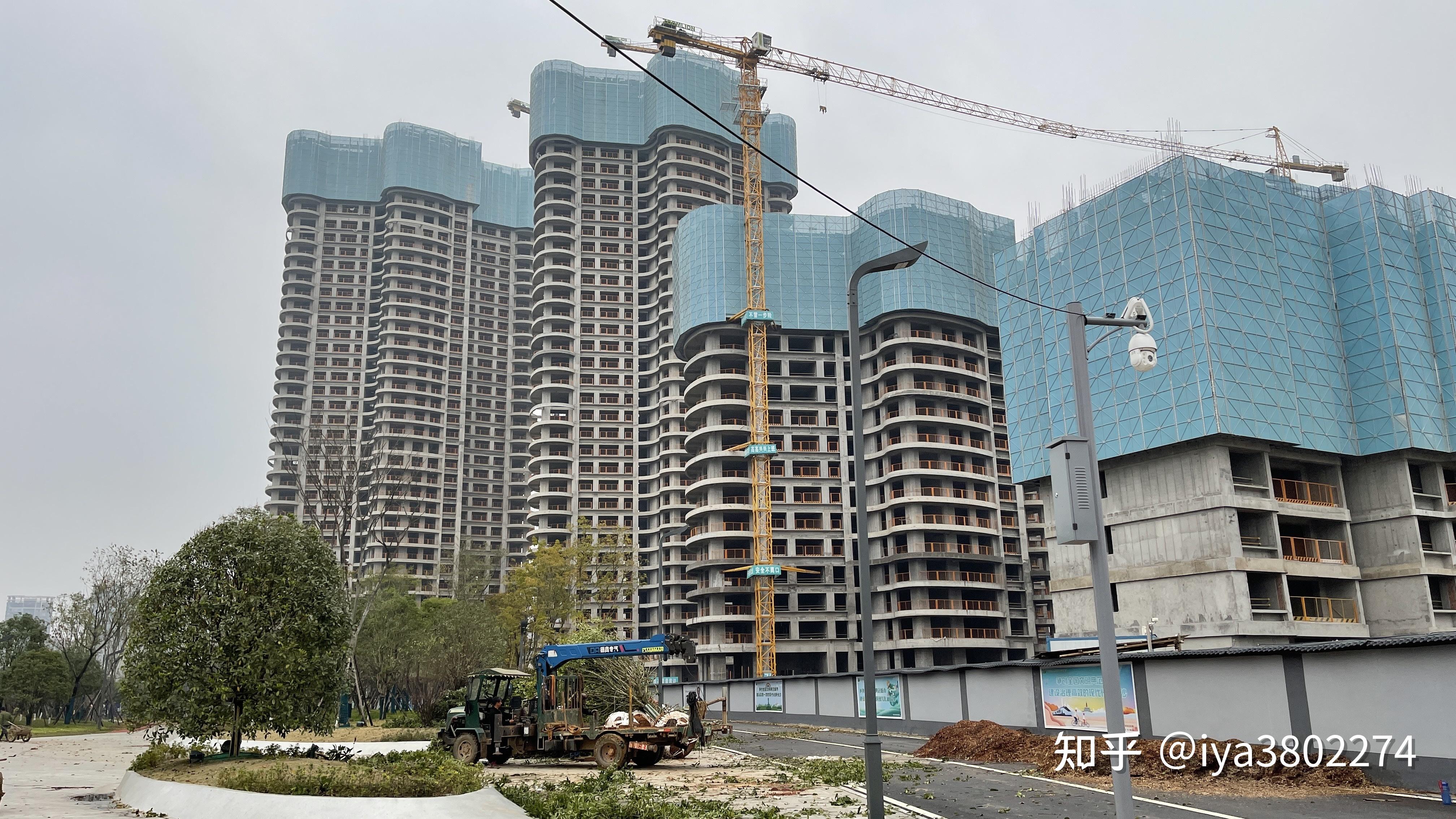 绿地v岛c区业主看过来进组织了