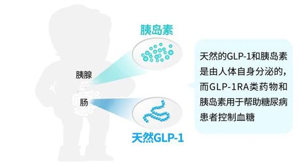 Glp 1类药物是胰岛素吗 它和胰岛素的区别 知乎