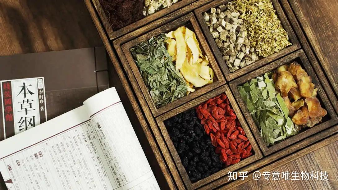 茶疗与养生哲学:一杯茶,一场与身心对话的旅程 - 知乎