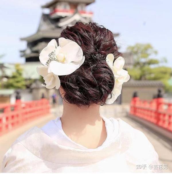 原创 一周一花兰花 知乎