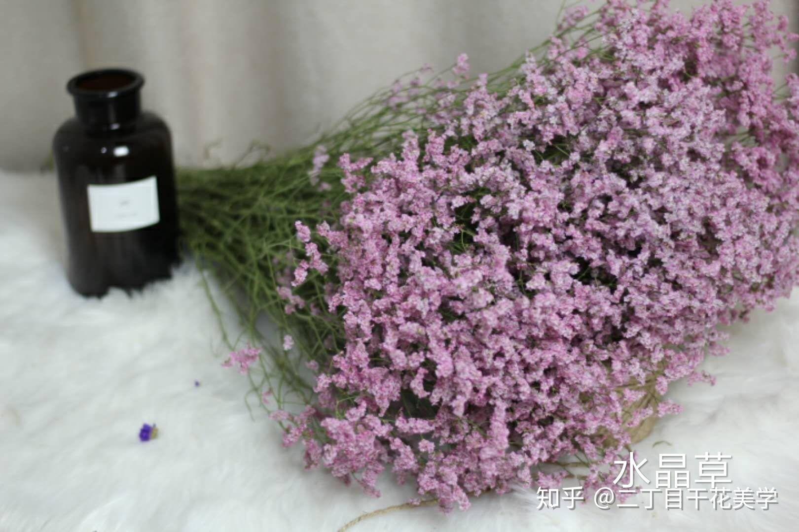 干花的花材认知自然系干花