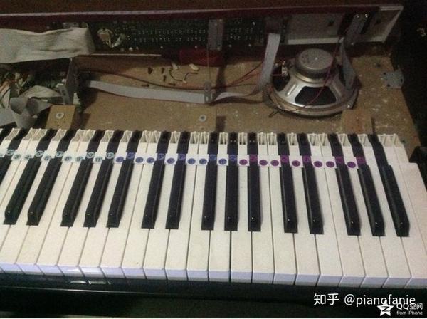 电钢琴和键盘的区别