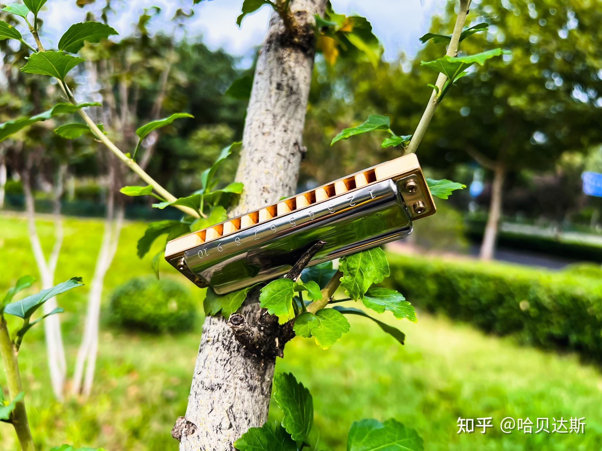 哈叔的十孔口琴自学入门课程(1),从哪开始,靠谱入门教程及选琴推荐