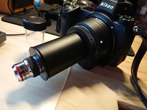 有尝试用物镜搞显微摄影的大佬吗