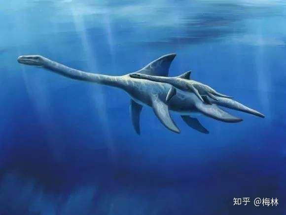 侏罗纪晚期的崖蜥为了躲避恐龙而逃入大海,谁能想到岁月却把它打磨成