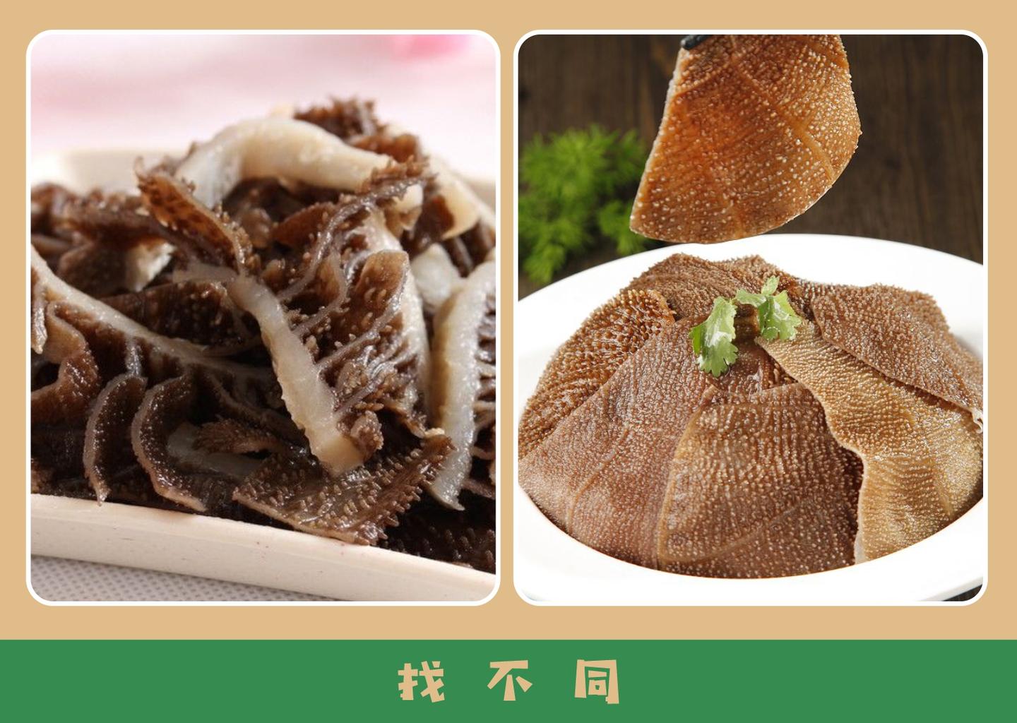 毛肚和百叶是一个东西吗 饭可以吃错 百叶不能吃错 知乎 毛肚和百叶是一个东西吗 饭可以吃错 百叶不能吃错 知乎