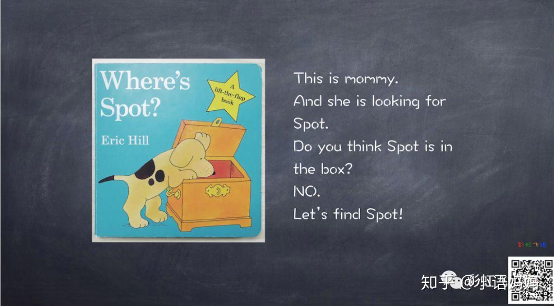 whereisspot小狗波波绘本精读