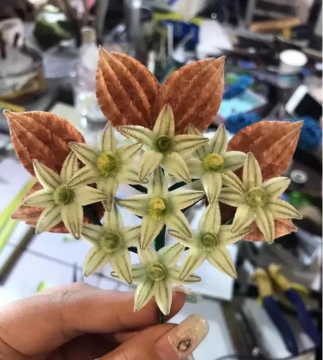富察皇后:通草绒花,不御珠翠 - 知乎