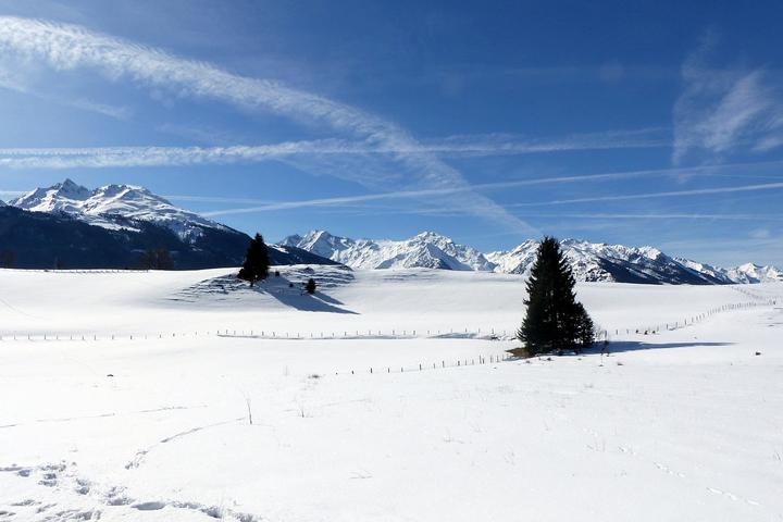 雪地胎的价格2