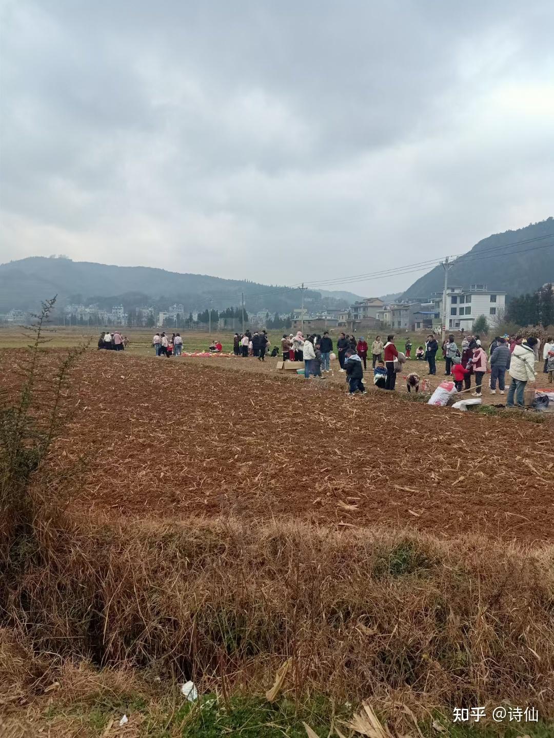 云南省宣威市羊场镇兔场村委会敖家村