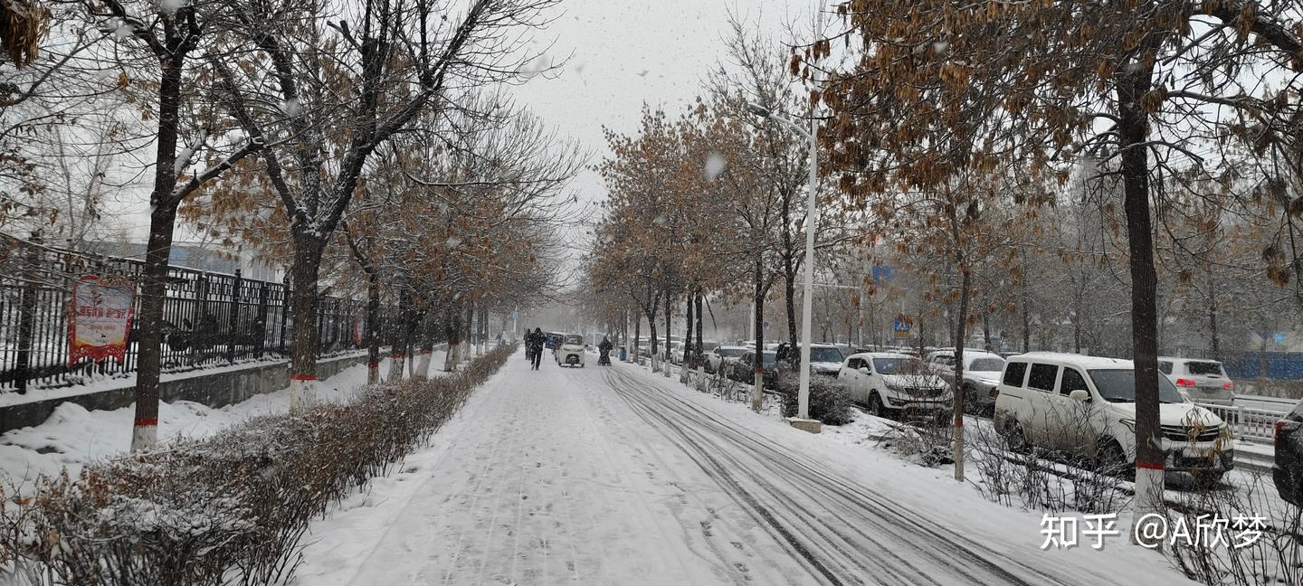 大雪初停,一路惊心!