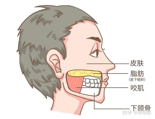 “发腮脸”,你方了吗? - 知乎