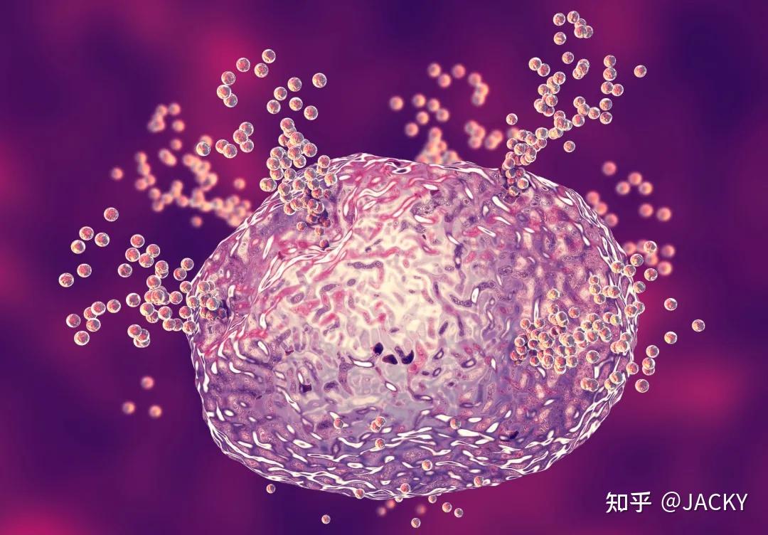 炎症诱导的组胺可能是抑郁症的关键因素 - 知乎