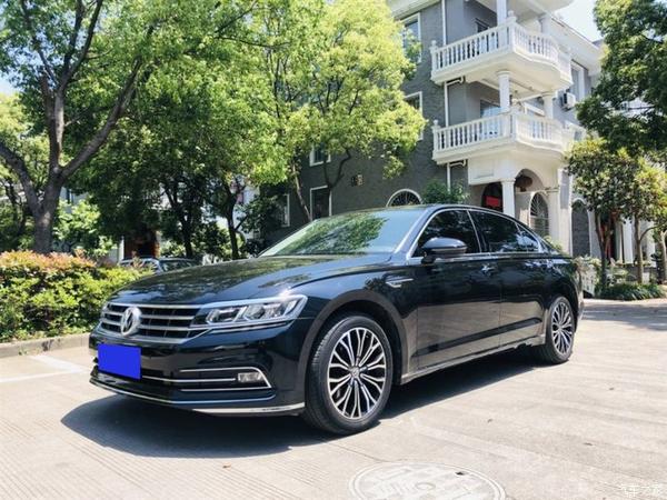 出游一夏 和辉昂游欣欣向荣的向日葵花田 甜嘟嘟