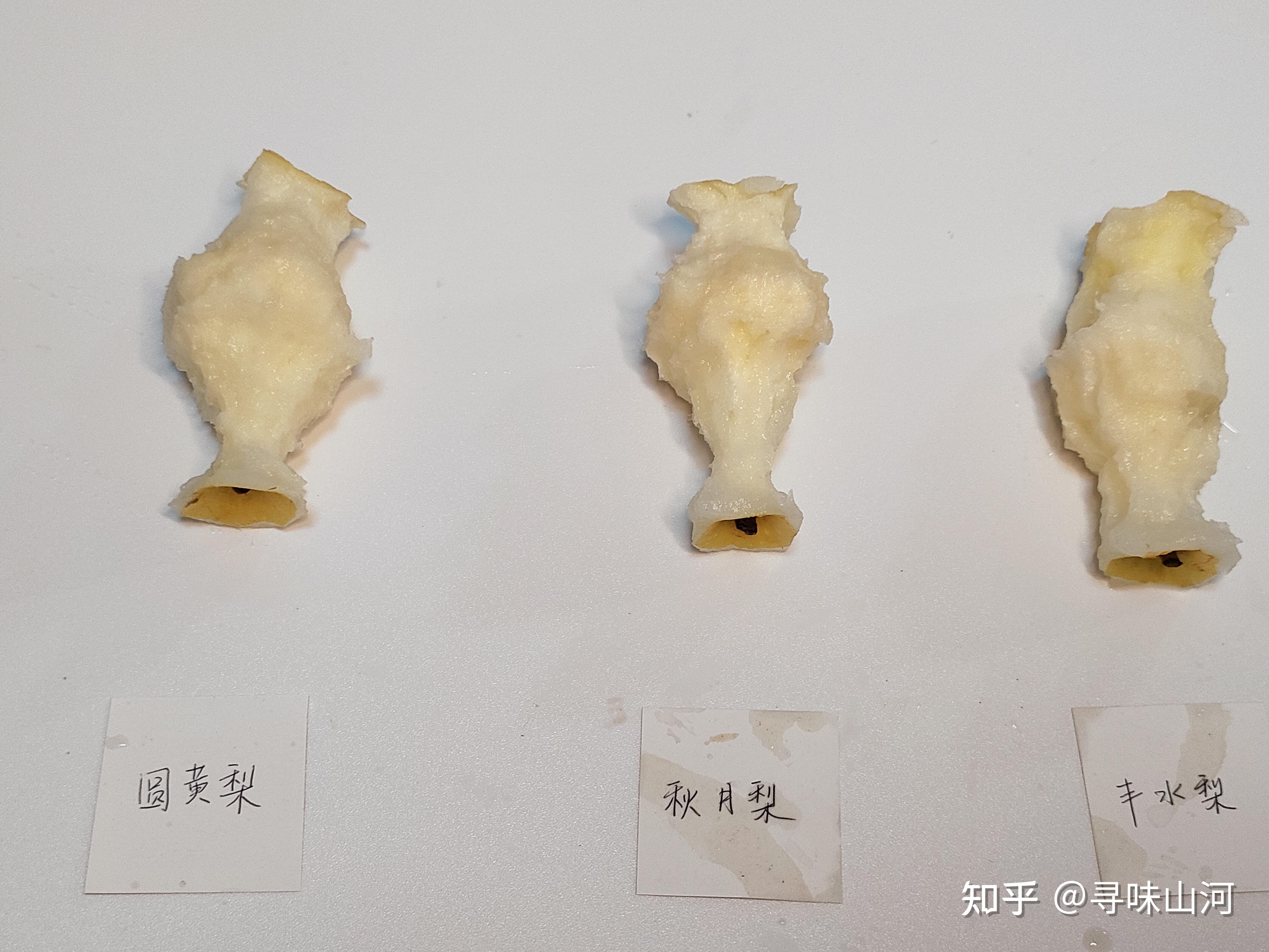 黄皮梨测评之圆黄梨秋月梨丰水梨