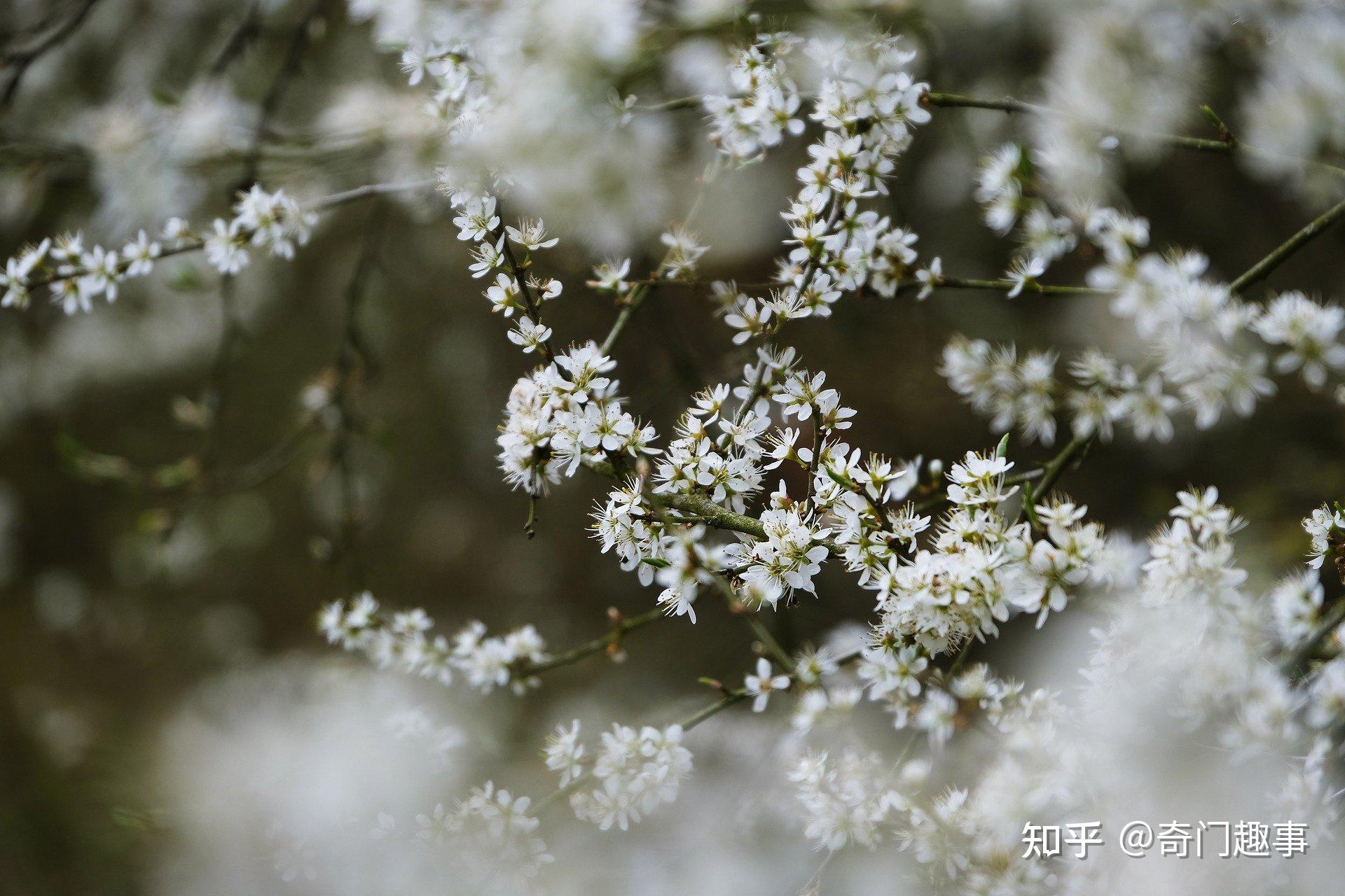 2022年2月24日星期四