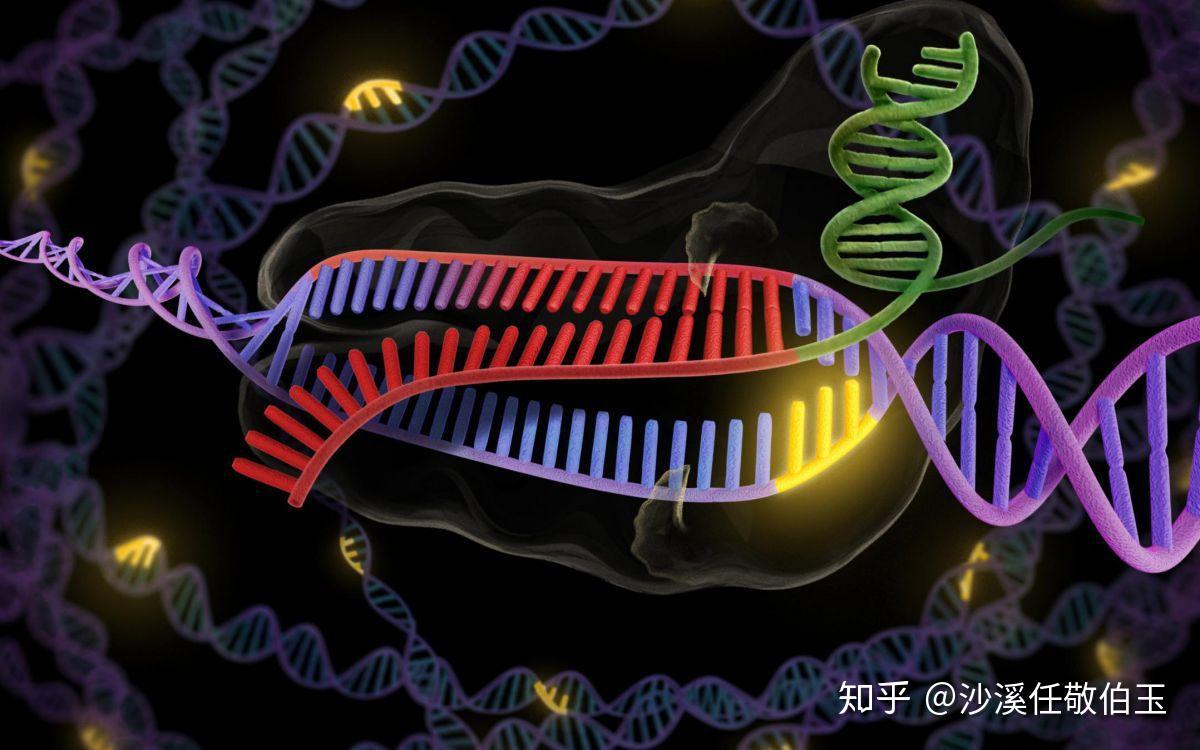 21世纪最强大技术:彻底消灭遗传疾病,基因编辑食品或遍及全球!